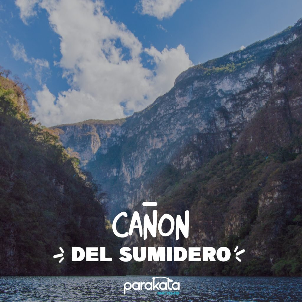 can╠âon_del_sumidero